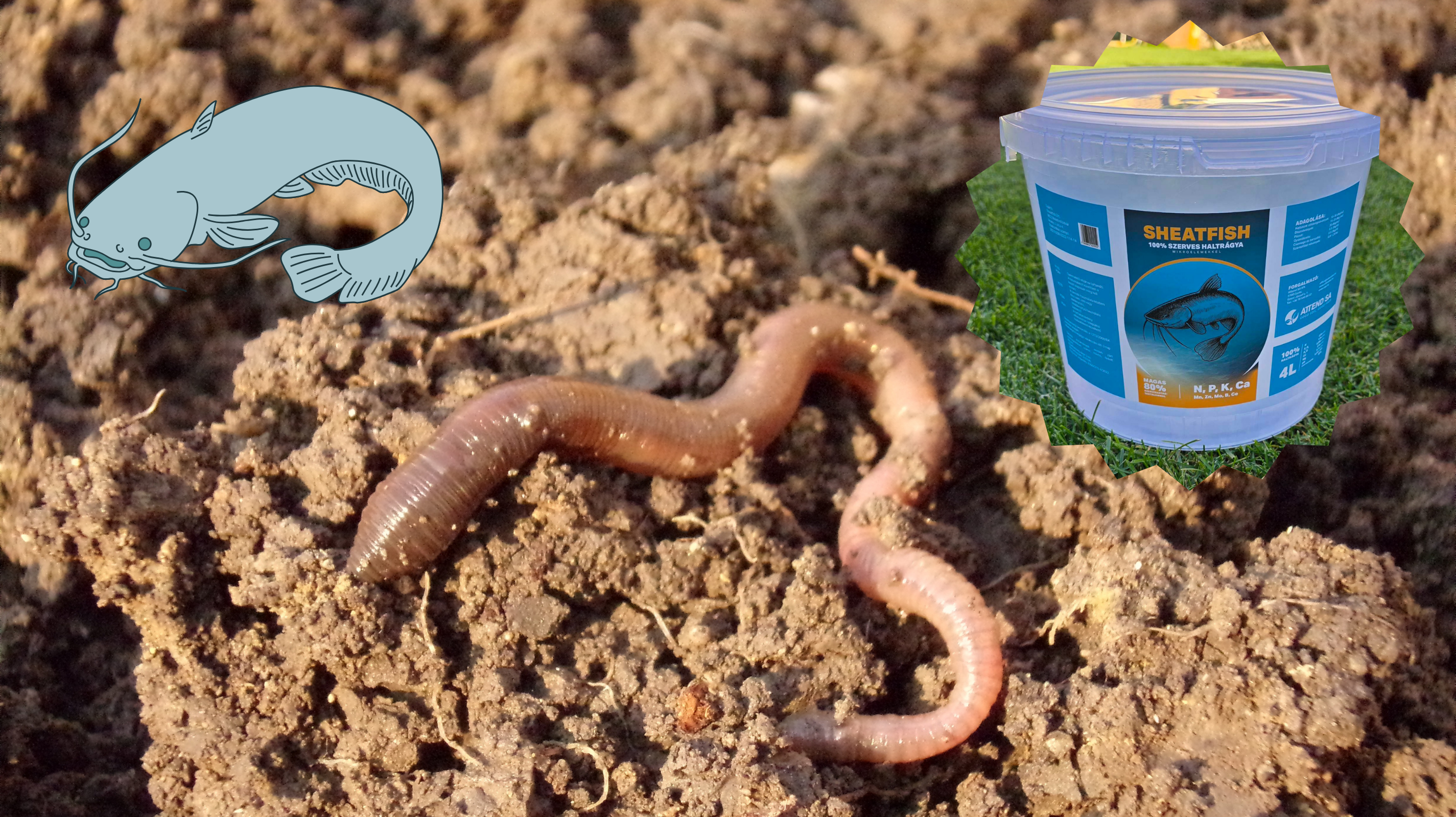 Újdonság az európai piacon: a haltrágya